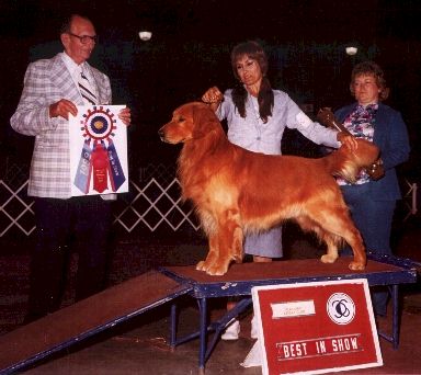 Dog Training Expert; Kay Bickford